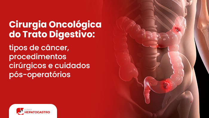 Um Banner Em Vermelho De Um Corpo Humano Ao Lado Um Sistema Digestivo.