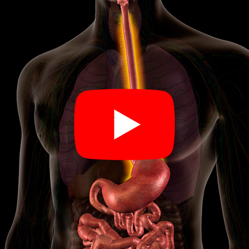 Imagem de um corpo humano com destaque para o sistema digestivo e esôfago iluminado, sobreposto por um ícone de reprodução do YouTube.