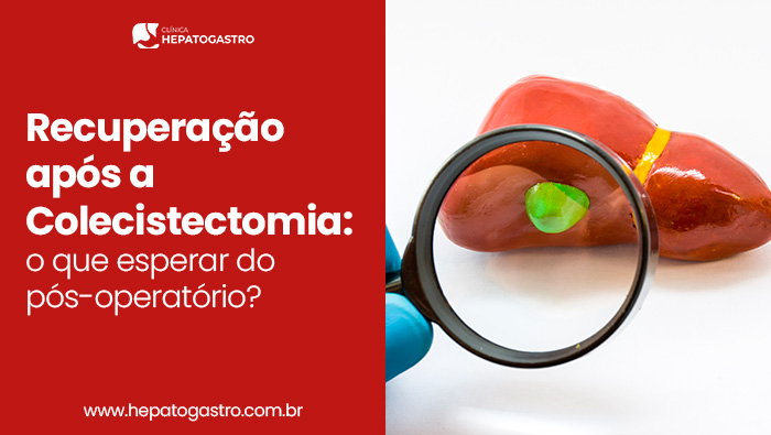 Modelo anatômico de fígado com vesícula biliar ampliada por lupa, simbolizando exame ou análise médica detalhada.