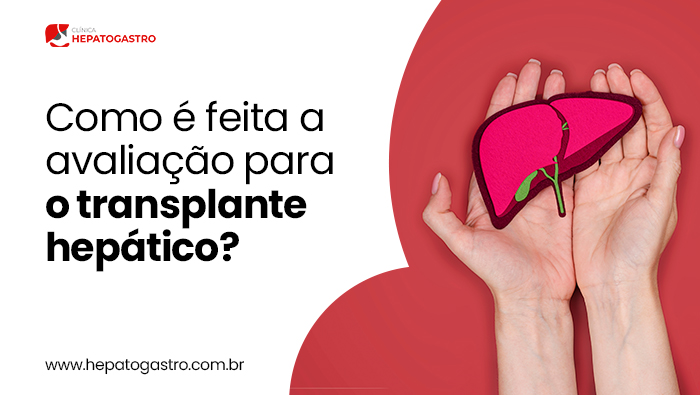 Mãos Seguram Uma Ilustração Rosa Do Fígado E Vias Biliares Sobre Fundo Vermelho, Simbolizando Saúde Hepática.