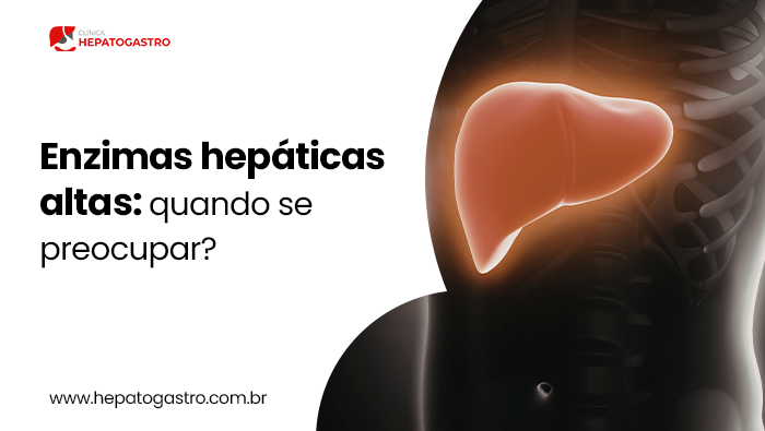 Enzimas Hepáticas Altas: Quando Se Preocupar? 1 Ilustração Anatômica Do Fígado Em Destaque No Corpo Humano, Representando Alterações Hepáticas E Elevação Das Enzimas Do Fígado.